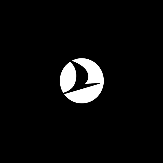 Airlines Logo Auto Sticker